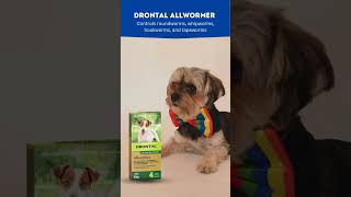 Decoding Worming Treatments to Deworm your Dogs  VetSupply petsupplies dogworming doglover [upl. by Kalvin115]