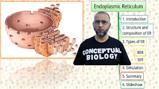 Endoplasmic Reticulum with Dr Sohail Jamil Qureshi  MDCAT Biology [upl. by Yatnahs]