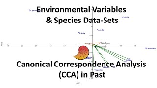 Canonical Correspondence Analysis CCA Past Statistical Software  Biostatistics  Statistics Bio7 [upl. by Tadd]