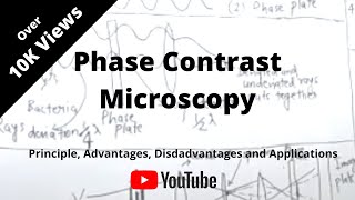 Phase Contrast Microscopy [upl. by Eniad12]