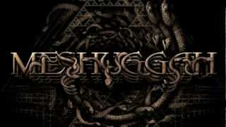 MESHUGGAH  Do Not Look Down OFFICIAL LYRIC VIDEO [upl. by Stern]