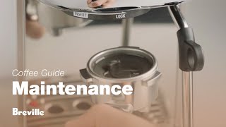 The Bambino® Plus  How to perform a clear water backflush on your espresso machine  Breville USA [upl. by Rennie]