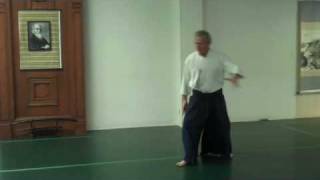 Aikido Shihan Robert Nadeau The Field [upl. by Llerehc486]