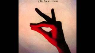 Die Hornissen  Pale Blue Eyes The Velvet Underground Cover [upl. by Weir]