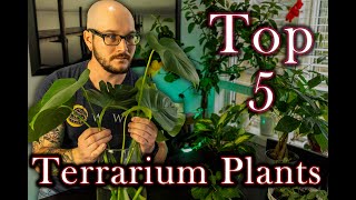 Top 5 Terrarium Plants That Will Change The Way You Keep Reptiles  Featuring MikeTytula [upl. by Syah]