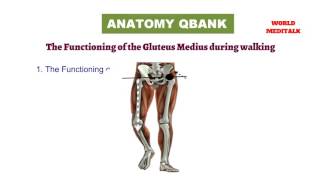 MRCS ANATOMY Q BANK 1 [upl. by Ecart938]