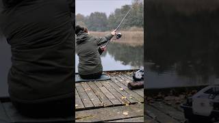 Angeln auf Hecht im Herbst fishing angler pikefishing deadbait fish outdoors fishinglife [upl. by Winograd978]