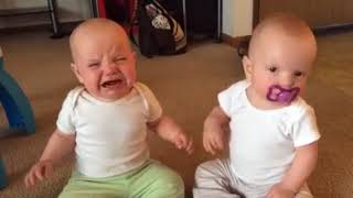 Twin baby girls FIGHT over pacifier REVERSE [upl. by Auqenat]