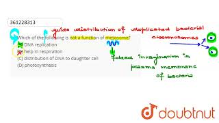 Which of the following is not afunction of mesosome A DNA replication B help in respiration [upl. by Airuam]