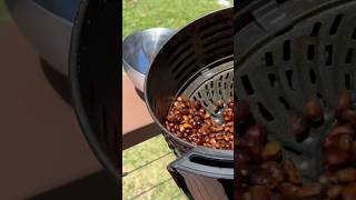 RigRIP Coffee Ghee Roast Air Fryer API 670 5OCT24 coffeefarming coffeeroasted Coffeegheeroast [upl. by Catherin]