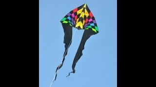 HQ Delta Jumbo Rainbow Our Kite of the year 2014 [upl. by Magan]