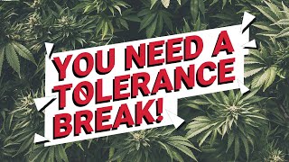 You Need A Cannabis Tolerance Break [upl. by Yorztif]