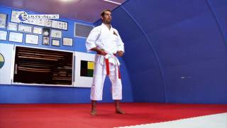 KARATE VIDEO Yellow Belt KARATE KATA GoshinDo Ichi  Sogo Goshindo [upl. by Botnick650]