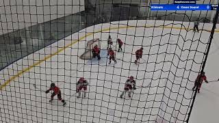 Woolwich Wildcats vs Owen Sound Jr Attack  U11A  11102024 [upl. by Nevlin465]