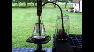 syphon coffee maker [upl. by Aenehs8]