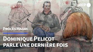 Procès des viols de Mazan Gisèle quotn’était pas une femme soumisequot selon Dominique Pelicot  AFP [upl. by Nicolina]