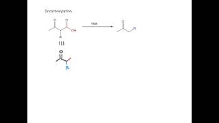 Acetoacetic Ester Synthesis [upl. by Eizeerb]