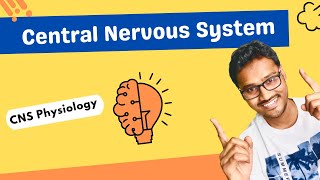 Introduction to Central Nervous System [upl. by Oneal332]