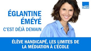 Enfants handicapés  les limites de la médiation dans lécole inclusive [upl. by Maggio425]