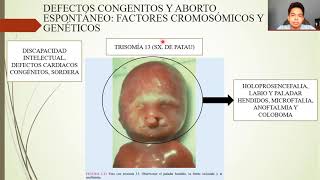 EMBRIOLOGÍA GAMETOGÉNESIS CONVERSIÓN DE CÉLULAS GERMINALES EN GAMETOS MASCULINOS Y FEMENINOS [upl. by Winne]