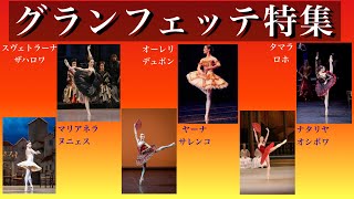 【グランフェッテ特集】一流ダンサーの超絶技巧をとくとご覧あれ。バレエ ballet [upl. by Asusej]