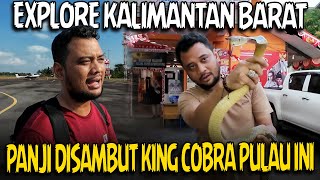 DISAMBUT KING COBRA KETAPANG KALIMANTAN BARAT‼️EXPEDISI KATULISTIWA [upl. by Nibbs]