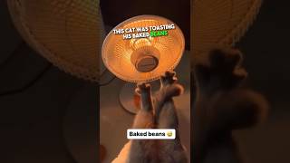 Cat Toasts His Baked Beans 😂 [upl. by Dnomse]