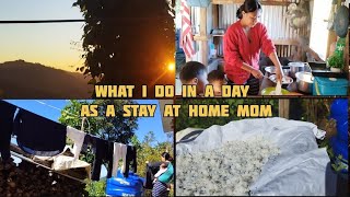 Living as a StayatHome Mom in Nagaland A Daily Routine  Wokha [upl. by Kelton]