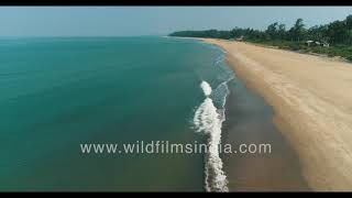 Talashil Beach  Visiting Indias western coast on Arabian sea in 4K aerials [upl. by Ratha]