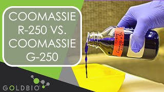 Coomassie R250 vs Coomassie G250 [upl. by Eniac]