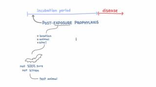 Rabies Prevention  Vaccinating Animals and PostExposure Prophylaxis [upl. by Neelie46]