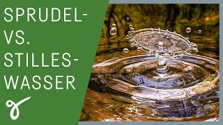 Wasser mit Kohlensäure vs stilles Wasser  Was ist gesünder  Gerne Gesund [upl. by Meunier980]