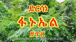 ድርሳነ ፋኑኤል ዘጥር  Dirsane Fanuel  Tir [upl. by Malone]