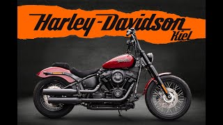 HarleyDavidson STREET BOB FXBB SOFTAIL  KESSTECH  SPEICHEN [upl. by Burrus]