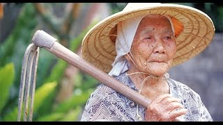 Why Okinawans Live So Long Diet Lifestyle Genetics Environment [upl. by Zetrok91]