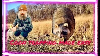 HOW to COON trap so EASY anyone can do it and STOLEN fur MYSTERY [upl. by Pampuch]