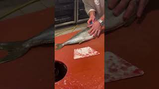 Yellowtail 🐟from Netherlands KingFish Sashimi Subscribe for More Joyful Video 😍 [upl. by Hashum]