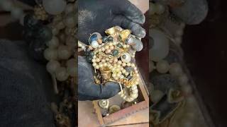 He found an immeasurable treasure chest within the castle wall 😱  metaldetecting shorts treasure [upl. by Gavin275]