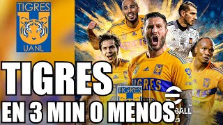 TIGRES UANL EN 3 MIN O MENOS  Heisenwolf [upl. by Wivestad361]