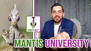 Mantis University Introduction [upl. by Selrahcnhoj]