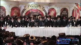 Viznitz Yerushalayim  Chernovitz Wedding Cheshvan 5784 [upl. by Lem586]