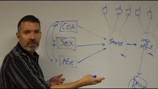 SEM Episode 4 The Structural Equation Model [upl. by Acquah]