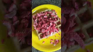 Waffles music pop song fypシ゚viral furry therian food trending atp [upl. by Anekam98]