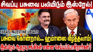 சிவப்பு பசுவை பலியிடும் இஸ்ரேல் ஹமாஸை வீழ்த்த ஆதிக்கு செல்லும் இஸ்ரேல் Krishnavel Interview Israel [upl. by Eenram]