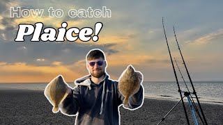 How to Catch PLAICE  the EASY way Fishing went CRAZY as the Tide Turned [upl. by Malloch]