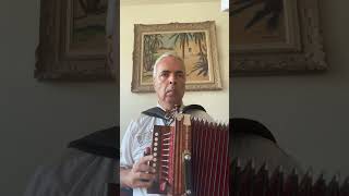 Mélodie B 14 Cajun Accordion Martin lygeros music accordion viralshorts youtubeshorts [upl. by Nandor]