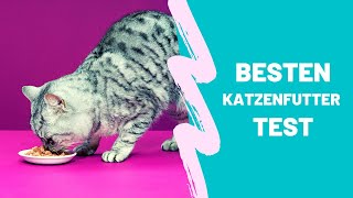 Die Besten Katzenfutter Test Top 5 [upl. by Haorbed]