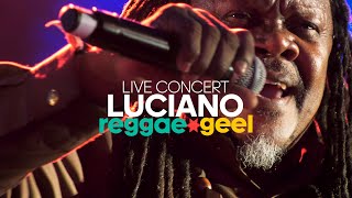 LUCIANO THE MESSENJAH Live At Reggae Geel Festival The Ultimate Performance [upl. by Nnylrac872]