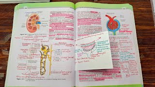 Excretory products and their elimination CLASS 11th NCERT biology for NEET PhysicsWallah [upl. by Ltney]