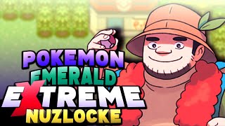 Will This Work Pokemon Emerald But Type Effectiveness Is Randomized [upl. by Rivkah383]